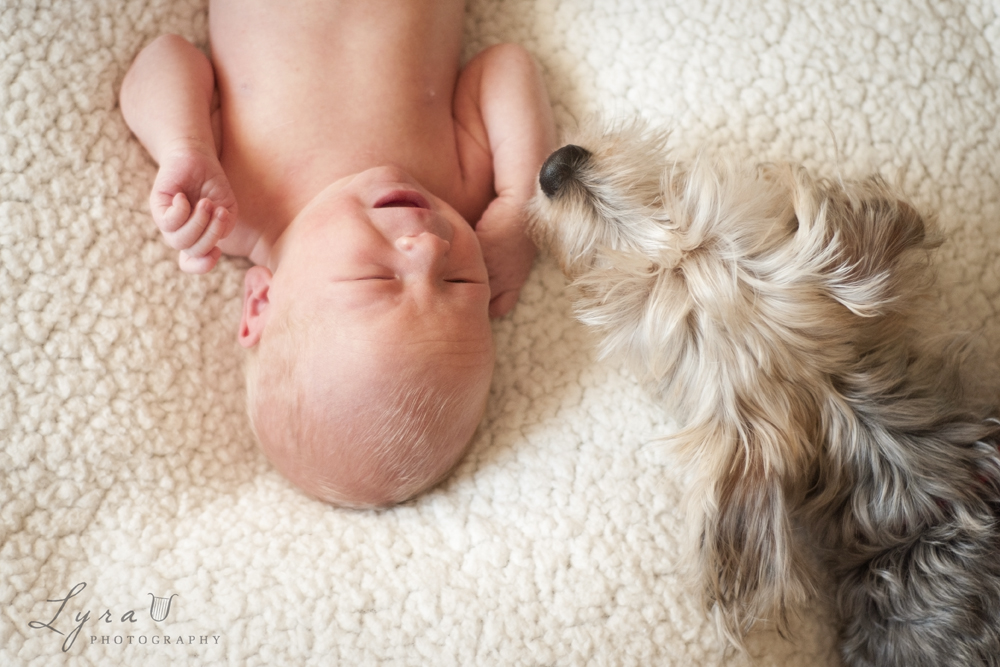 Newborn with the family dog